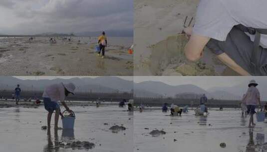 广东深圳大鹏半岛教场尾沙滩赶海高清在线视频素材下载