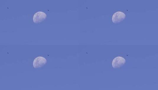 月亮 大月亮 天空明月高清在线视频素材下载