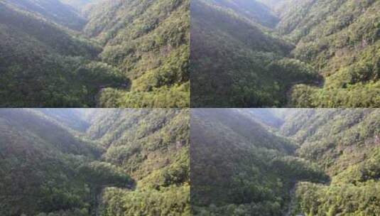 森林山脉航拍高清在线视频素材下载