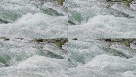 清澈的溪流升格慢动作高清在线视频素材下载