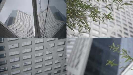 城市里的竹叶高清在线视频素材下载