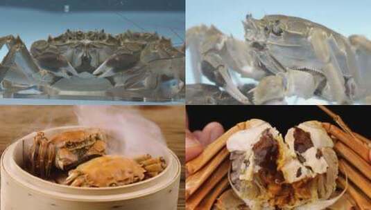 5K-清蒸大闸蟹，美味水产，大闸蟹烹饪高清在线视频素材下载