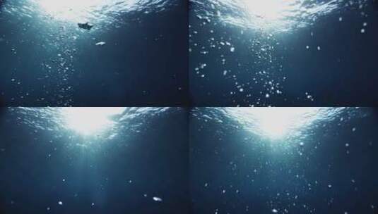 海底世界-水泡上升-仰拍海面高清在线视频素材下载