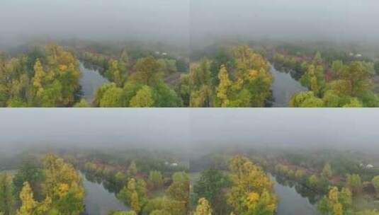 秋季晨雾缭绕的森林河流高清在线视频素材下载