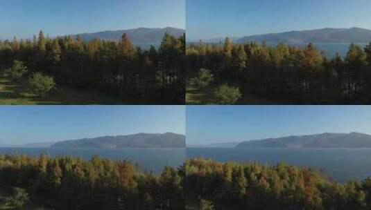 大理湖泊森林树林热带雨林秋天秋景秋季航拍高清在线视频素材下载