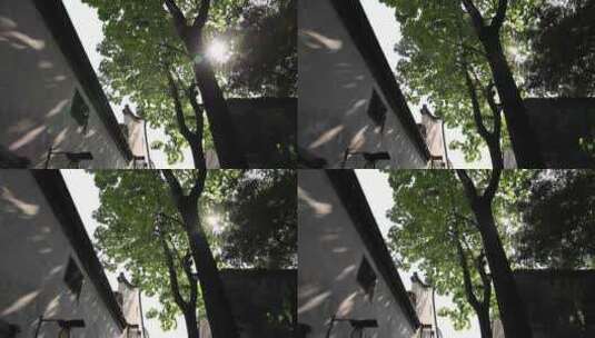 江南古镇 青砖黛瓦 阳光穿透树叶高清在线视频素材下载