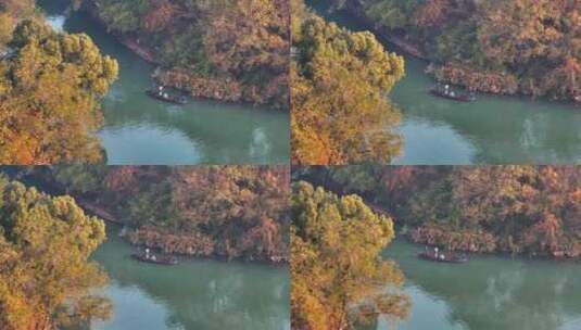 杭州秋天 西溪湿地 手摇船 湿地博物馆高清在线视频素材下载