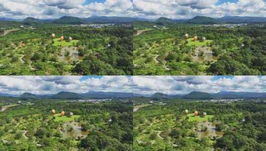 云南西双版纳热带雨林植物园高清在线视频素材下载