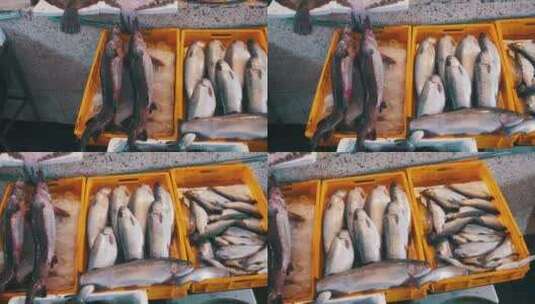 鱼店柜台上的新鲜海鱼高清在线视频素材下载