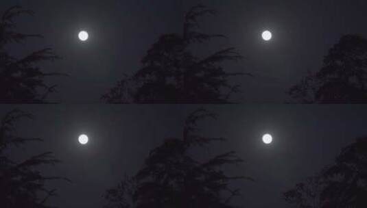 月亮月光树林光影高清在线视频素材下载