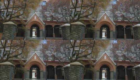 秋天美丽的枫叶民国特色建筑特写 苏州大学高清在线视频素材下载