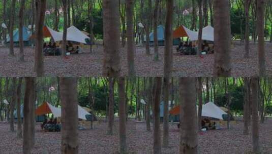 惠州惠东九龙峰小林露营地3高清在线视频素材下载