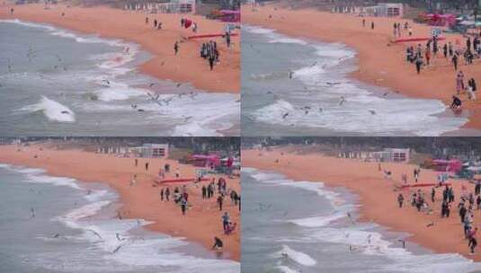 威海市火炬八街旅游沙滩海浪海鸥高清在线视频素材下载