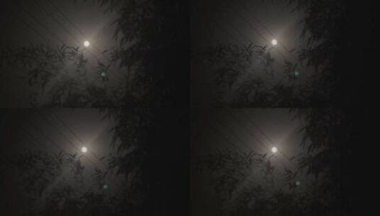 树林电线月亮高清在线视频素材下载