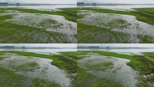 航拍马河水库湿地高清在线视频素材下载