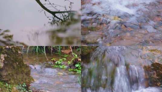 杭州植物园小溪流水风景视频素材高清在线视频素材下载