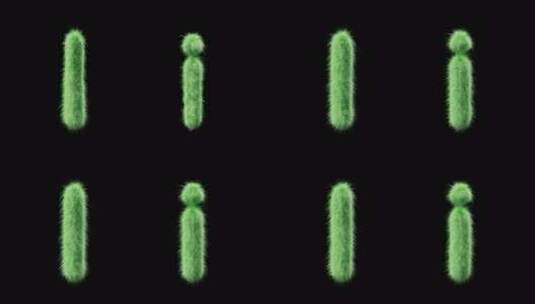 大写和小写草地字母I的3D动画。以字段草高清在线视频素材下载