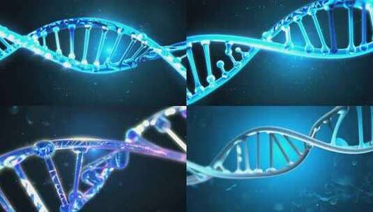 生物科技概念DNA基因循环动画3D渲染高清在线视频素材下载