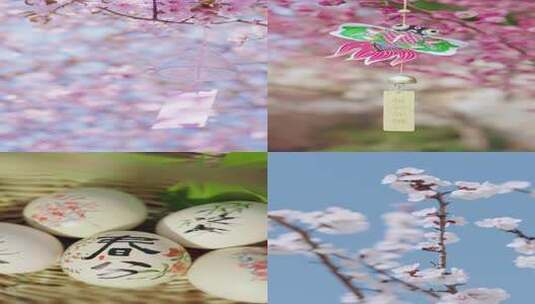 春分竖版 春分 春分节气春天竖版春天风景高清在线视频素材下载