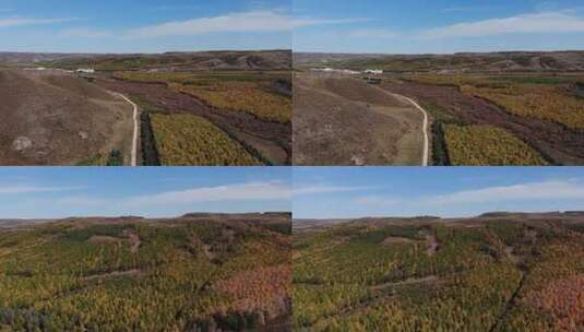 坝上秋色高清在线视频素材下载