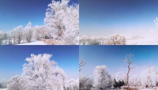 冬日雾凇覆盖的自然景观高清在线视频素材下载
