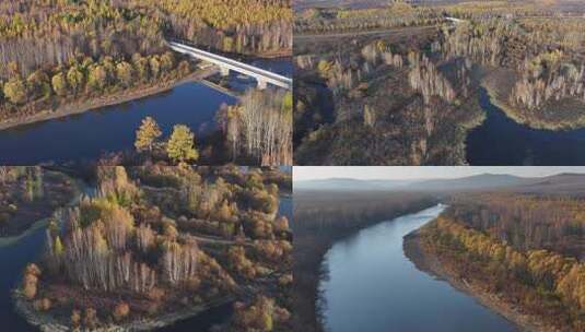 4K无人机航拍漠河九曲十八湾松柏林视频高清在线视频素材下载