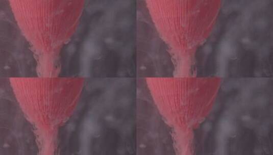 4K红色流动的液体往下靠左高清在线视频素材下载