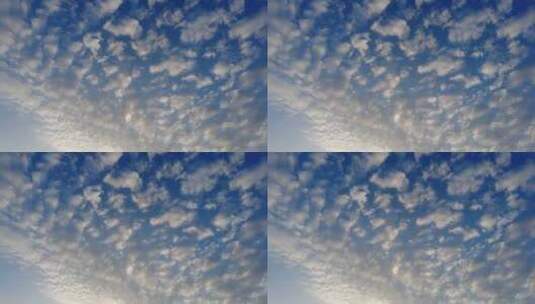 晴朗天空下早晨的鱼片云实拍视频高清在线视频素材下载