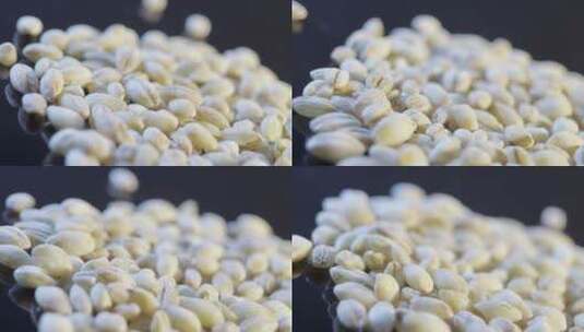 大麦胚芽种子高清在线视频素材下载