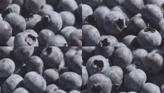 蓝莓旋转背景特写高清在线视频素材下载