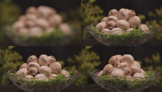 白蘑菇口蘑 (2)高清在线视频素材下载