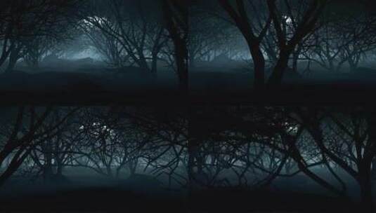 万圣节满月之夜的黑暗森林高清在线视频素材下载