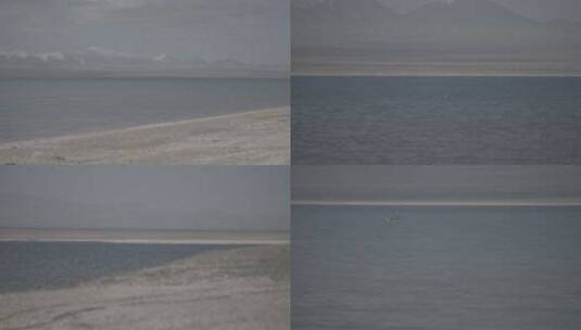 青海可可西里卓乃湖水鸟飞过高清在线视频素材下载