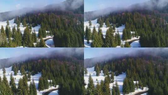 高速公路对面的冬季森林高清在线视频素材下载