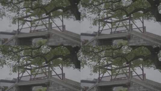 江南水乡苏州同里古镇·4K Vlog实拍高清在线视频素材下载