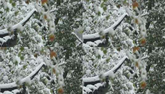 杭州西湖风景区雪景高清在线视频素材下载