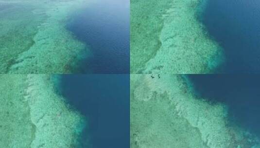 海底世界 珊瑚礁高清在线视频素材下载