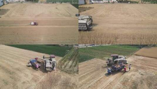 麦子 收割机 丰收 收麦子 航拍  田间地头高清在线视频素材下载