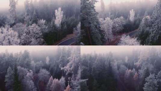 晨雾下的雪景森林航拍高清在线视频素材下载