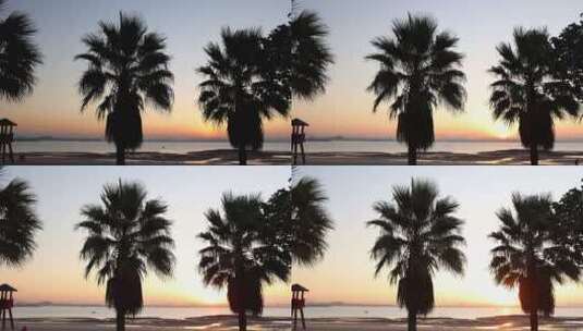 南方海边城市棕榈树前日出延时摄影高清在线视频素材下载