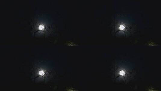 夜晚月亮高清在线视频素材下载