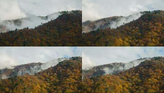 云海大气云海云海航拍云海风光高山云雾高清在线视频素材下载