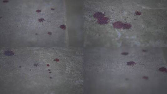 地上干涸的血渍血迹高清在线视频素材下载