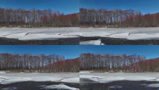 春天开河冰融护河柳高清在线视频素材下载