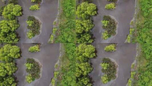 鸟瞰池塘水污染高清在线视频素材下载