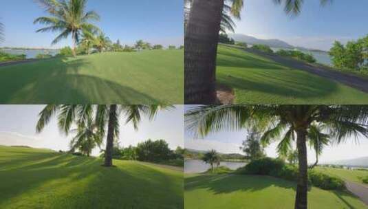 穿越机 高尔夫 草坪 椰子树 二 9高清在线视频素材下载