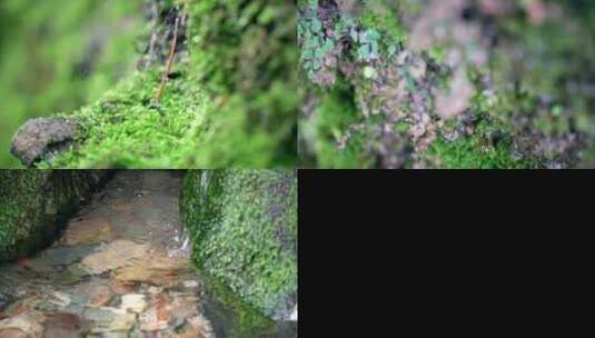 溪流岩石水滴苔藓高清在线视频素材下载