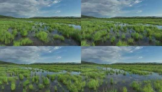 航拍国家森林公园湿地风景高清在线视频素材下载