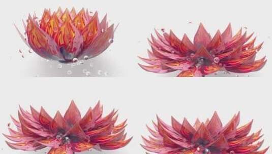 高端三维开花花开动画玻璃质感广告设计 (2)高清在线视频素材下载