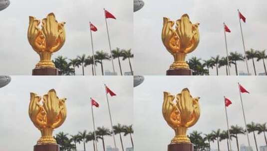 金紫荆广场_香港区旗和中国国旗飘扬8K高清在线视频素材下载